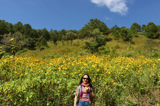 Góc chụp hoa dã quỳ rất đa dạng. Với cả cánh đồng hoa dã quỳ, bạn có thể chụp góc rộng hoặc cận cảnh với nền trời xanh. Để có những tấm hình đẹp, tốt nhất bạn nên lựa thời gian chụp lúc nắng lên rực rỡ từ 9 giờ sáng đến tầm 16h trước khi tắt nắng.