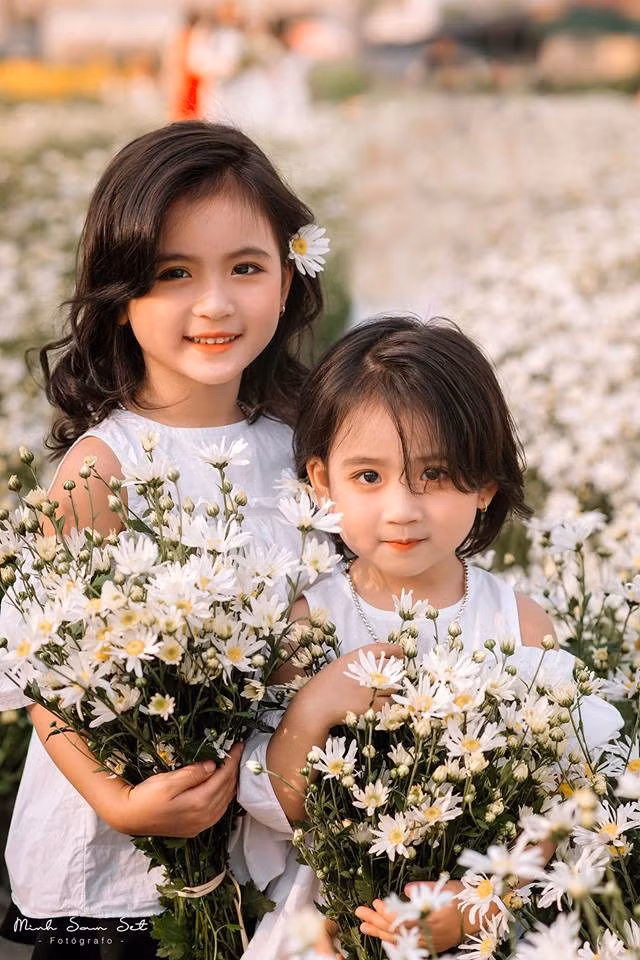 Bộ ảnh cúc hoạ mi được thực hiện bởi hai nhiếp ảnh gia trẻ Tuấn Minh và Trần Long. Chia sẻ trên mạng xã hội, Tuấn Minh cho biết từ khi hai bé xuất hiện bên vườn cúc, người dân và du khách gần đó đã chú ý, quên cả mục đích chính là đến đây để chụp ảnh.