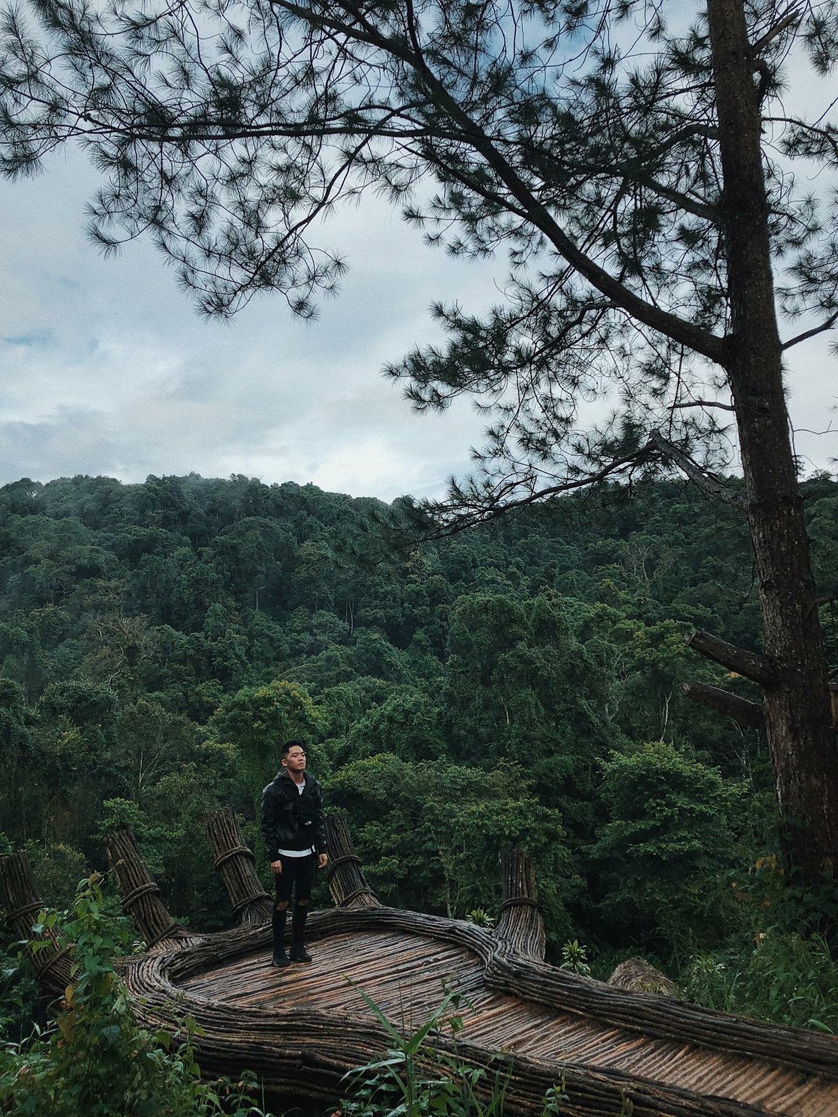 Một năm trước chúng ta có bức tường Cối Xay Gió, Quán của thời thanh xuân, Nguyệt Vọng Lầu. Thời gian gần đây thì Tuyệt tình cốc lại nổi lên như diều gặp gió và giờ là bàn tay gỗ khổng lồ.