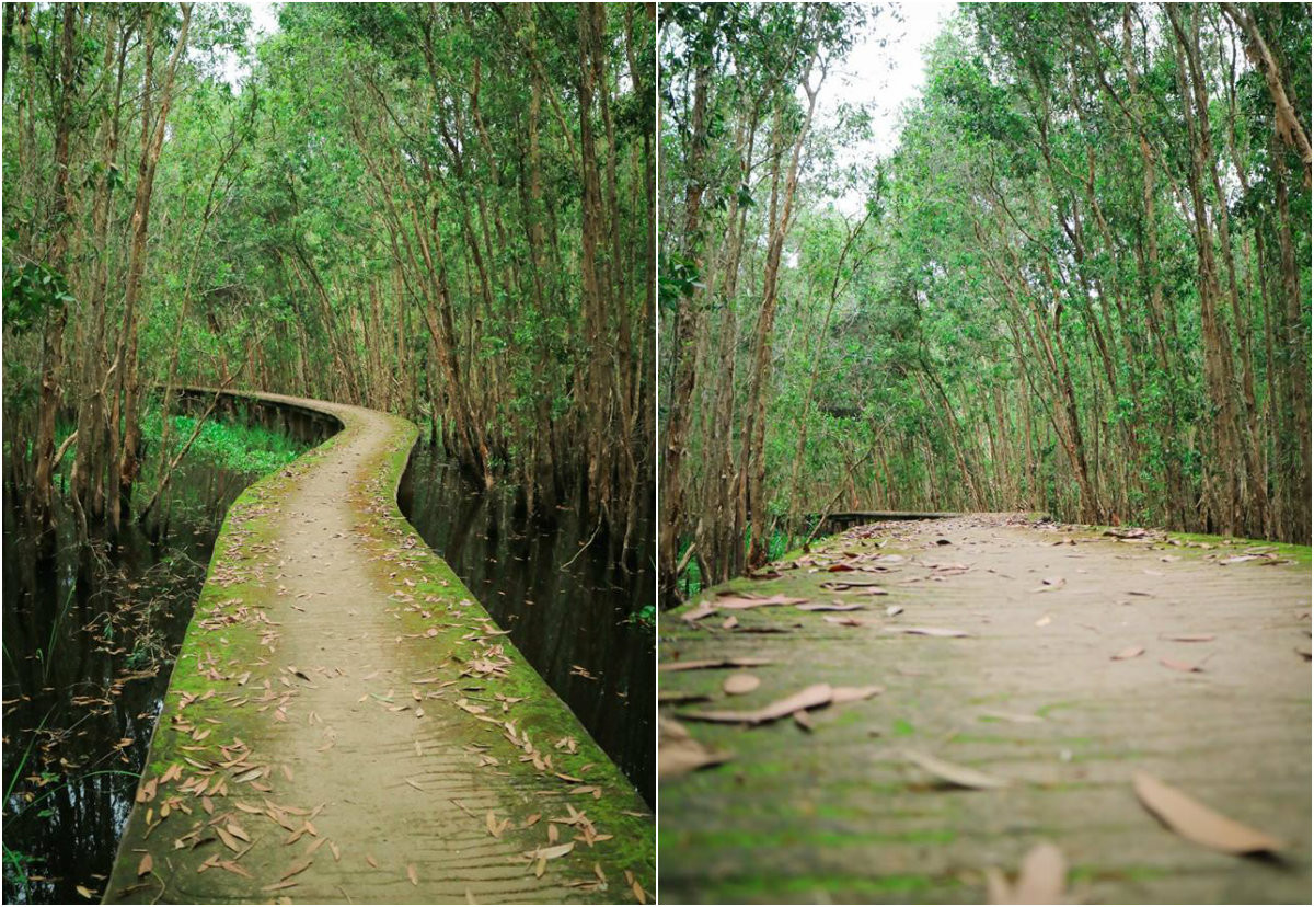 Rừng tràm có diện tích 135ha, rộng 500ha, được đầu tư xây một con đường mòn 5km vòng cung cho khách du lịch "trekking" dã ngoại, thư giãn.