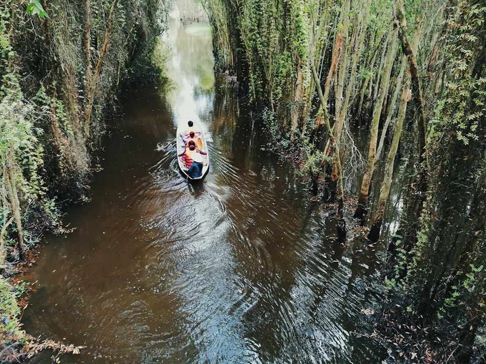 Tới đây, du khách còn thích thú với các trò thư giãn giải trí như: câu cá, chèo thuyền ngắm sen, súng nở rộ, hái thơm và rau rừng để ăn kèm cá nướng, xem chim, vào nông trường xem canh tác rẫy thơm...