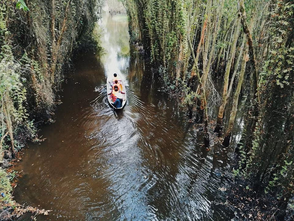 Tới đây, du khách còn thích thú với các trò thư giãn giải trí như: câu cá, chèo thuyền ngắm sen, súng nở rộ, hái thơm và rau rừng để ăn kèm cá nướng, xem chim, vào nông trường xem canh tác rẫy thơm...