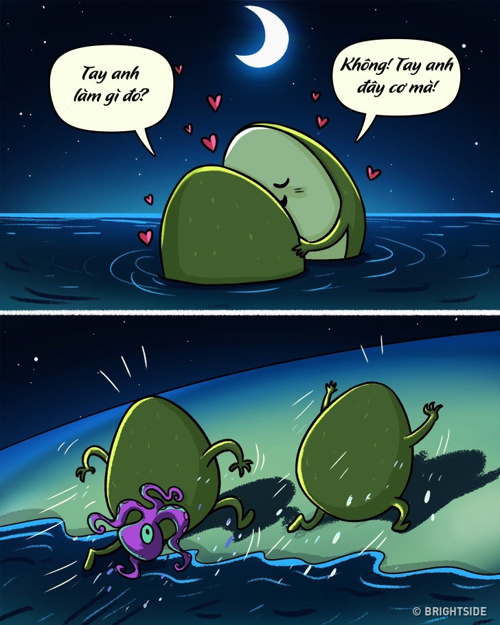 Tắm biển đêm là trải nghiệm tuyệt vời các đôi nên thử khi đi du lịch. Nhưng điều đó có thể biến thành ác mộng nếu chẳng may hai người gặp một vị khách "không mời mà đến". Tắm biển đêm là trải nghiệm tuyệt vời các đôi nên thử khi đi du lịch. Nhưng điều đó có thể biến thành ác mộng nếu chẳng may hai người gặp một vị khách "không mời mà đến".