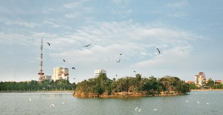 Người ta nói "Đất lành chim đậu" không sai chút nào, ước tính tại đảo cò có trên dưới một vạn chú cò đang sinh sống với đủ các loại: cò đen, cò trắng, cò mỏ vàng, có cả bồ nông, vạc...