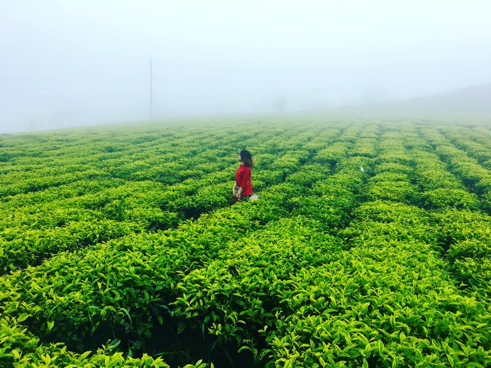 Chi cho thang 8 sang de lang thang nhung dia diem dep nhu mo nay-Hinh-4