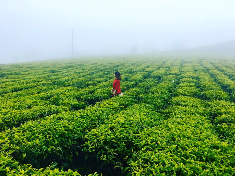 Chi cho thang 8 sang de lang thang nhung dia diem dep nhu mo nay-Hinh-4