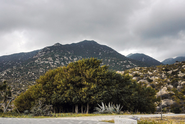 Ảnh: HỒ HOÀNG HUY