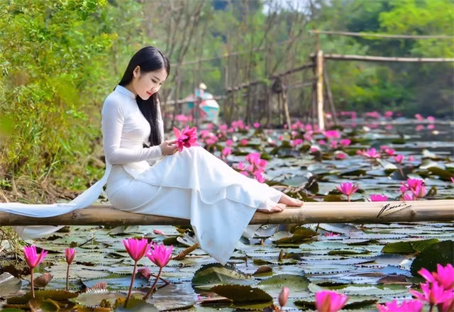 Tới chùa Hương vào dịp hoa súng nở, du khách có cơ hội tận hưởng một không gian yên ả và trong lành. Khác với vẻ ồn ã, vội vàng đầu năm, mùa hoa súng nở, mọi người đến đây lại có vẻ thong thả, nhàn nhã để tự do tự tại thưởng hoa và ngắm nhìn khung cảnh thiên nhiên.