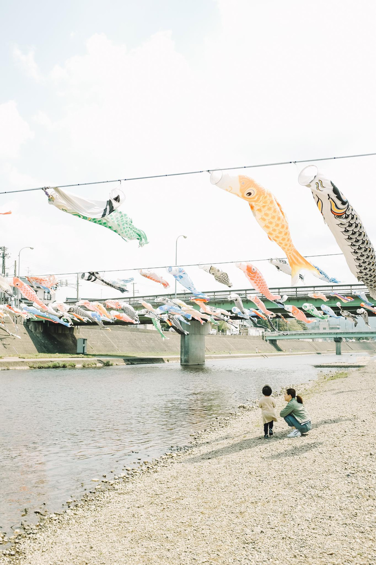 Lễ hội cờ cá chép sông Kamo, nơi mà cả bầu trời được treo đầy những chú cá màu sắc rực rỡ hàng năm.