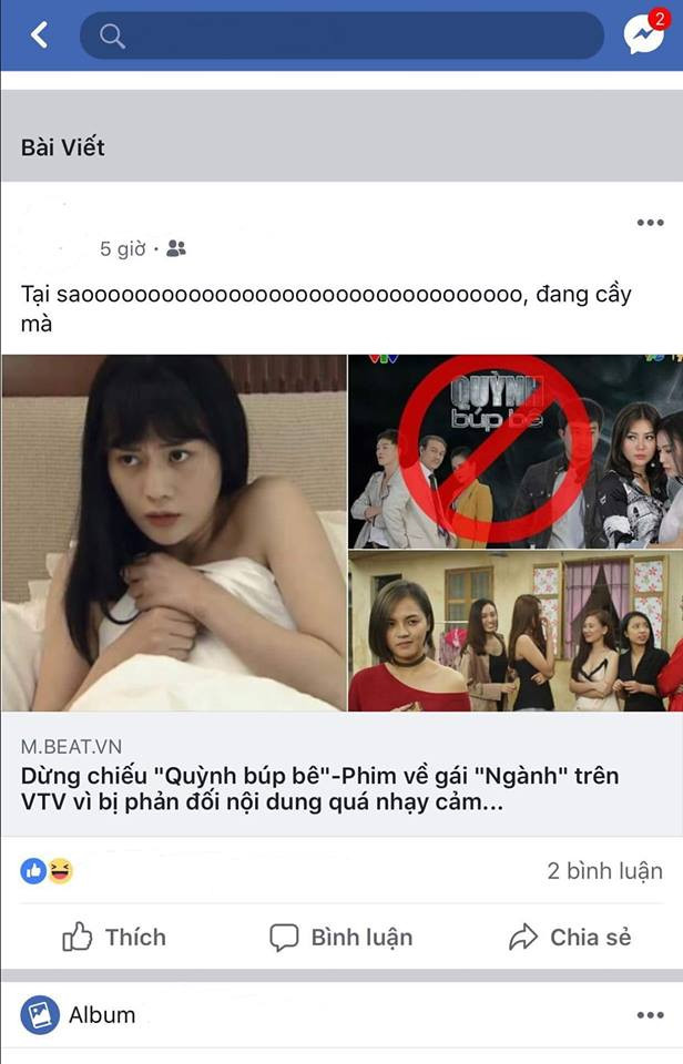 Lý do bộ phim bị cấm chiếu là vì khai thác đề tài khá nhạy cảm về gái làng chơi. Trong bộ phim có không ít những cảnh bạo lực và tình tiết gây sốc.