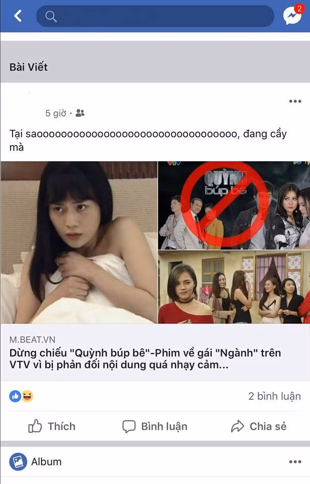 Lý do bộ phim bị cấm chiếu là vì khai thác đề tài khá nhạy cảm về gái làng chơi. Trong bộ phim có không ít những cảnh bạo lực và tình tiết gây sốc.