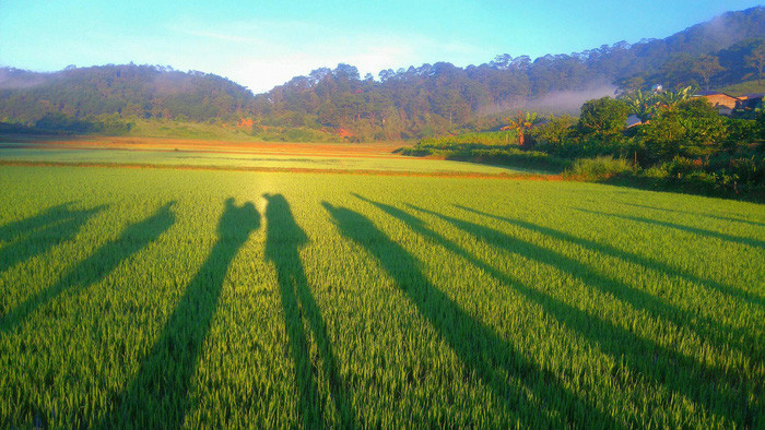 Đây được mệnh danh là một trong những cung trek đẹp nhất Việt Nam - Ảnh: HUY TRƯƠNG