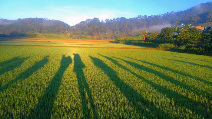 Đây được mệnh danh là một trong những cung trek đẹp nhất Việt Nam - Ảnh: HUY TRƯƠNG