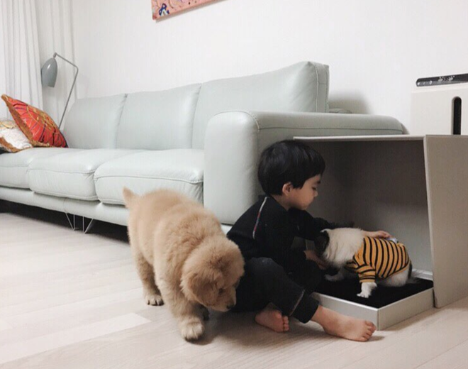 Molly là "con gái" nha các bạn, nên đôi khi cũng hay giận hờn vu vơ lắm.