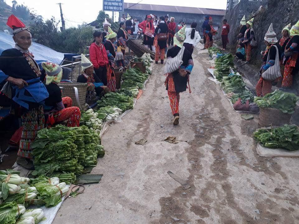 Nếu du khách đến huyện Sìn Hồ mà không đến Pú Đao tức là đi mà chưa tới. Đó là một bản của người Mông nằm trong không gian thơ mộng của bạt ngàn hoa dại với điểm nhấn là những cây đại thụ cứ mỗi mùa thu lại trải thảm lá đỏ rực chờ đón một mùa đông giá rét. Xen kẽ với đó là những thửa ruộng bậc thang uốn lượn chuẩn bị ngả sang sắc vàng của no ấm. Đó cũng là mùa rực rỡ nhất của miền Tây Bắc. Đến với Sìn Hồ, du khách sẽ được hòa mình và được chiêm ngưỡng một bức tranh đầy sắc màu trong phiên chợ của bà con dân tộc vùng cao.