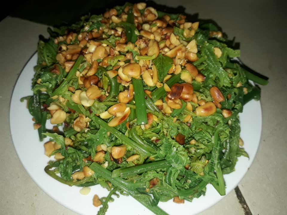 Đến với huyện Sìn Hồ (Lai Châu), du khách đừng bỏ qua món rau dớn xào tỏi.