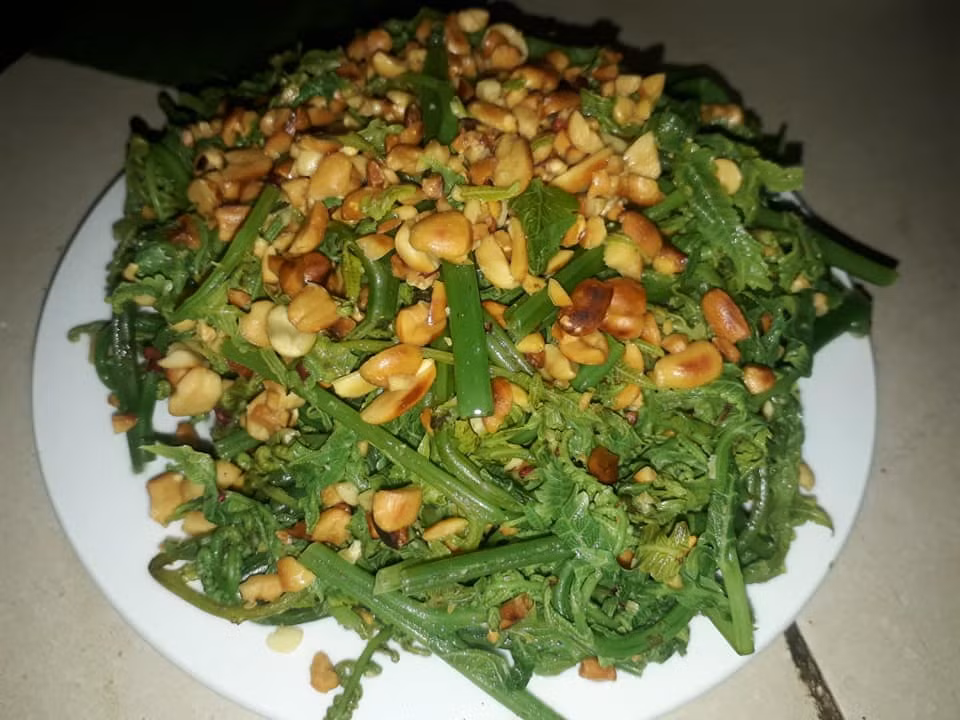 Đến với huyện Sìn Hồ (Lai Châu), du khách đừng bỏ qua món rau dớn xào tỏi.