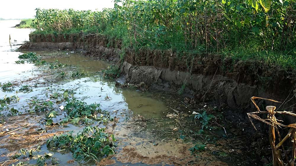 Đất bị sạt lở do khai thác cát trái phép