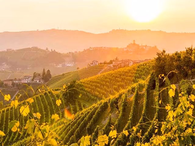 5. Nấm Truffle, pho mát và Barolo Thật là thiếu sót nếu nếu ý mà không tham gia một cuộc đi săn nấm Truffle quý hiếm cùng với những chú chó đã được huấn luyện kỹ càng. Những khu rừng hạt dẻ ở Barolo hứa hẹn là nơi tuyệt vời cho cuộc đi săn này. Bên cạnh đó, mọi người nên dừng chân tại một số nhà máy rượu vang để tìm mua được những chai rượu tuyệt ngon.