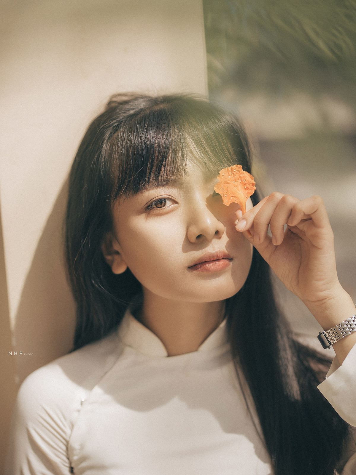 "Cầm trên tay cánh phượng vĩ" ghi lại dấu ấn của một thời học sinh với tất cả sự vô tư và hồn nhiên.