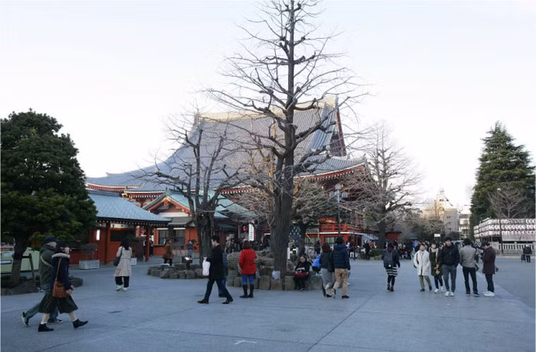 Khung cảnh thanh tịnh bên ngoài sân đền thiêng Sensoji. Ảnh Sina