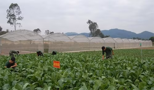 Tieu chuan Tet Nguyen dan si quan, binh si QDND Viet Nam