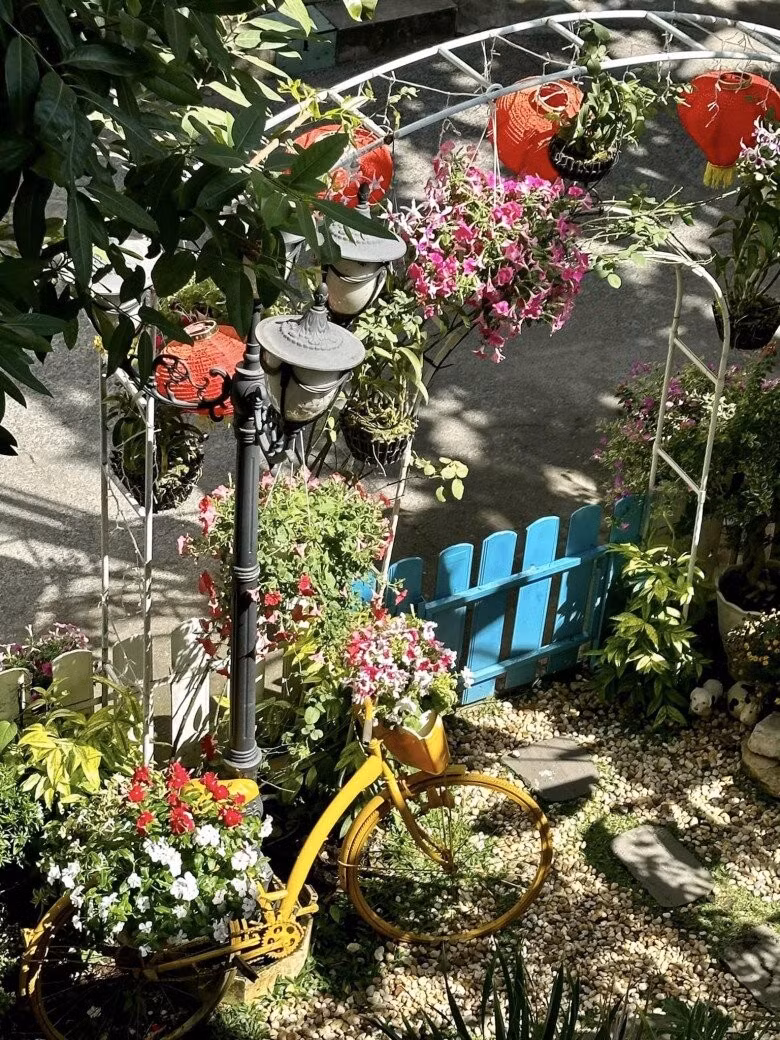 Co ngoi do so cua ca si Vy Oanh-Hinh-17