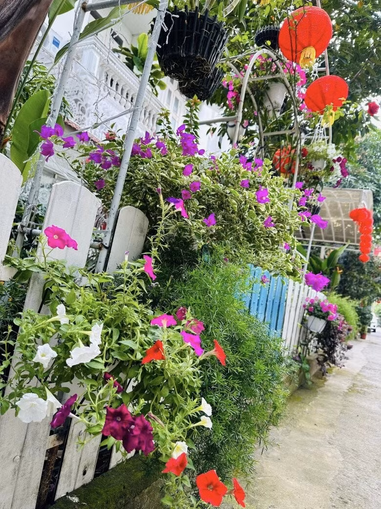 Co ngoi do so cua ca si Vy Oanh-Hinh-16