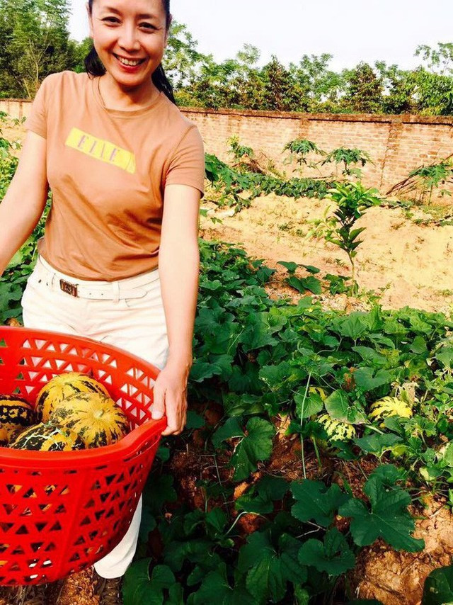 Bí ngô mọc um tùm, phải dùng cả giỏ lớn để đựng.