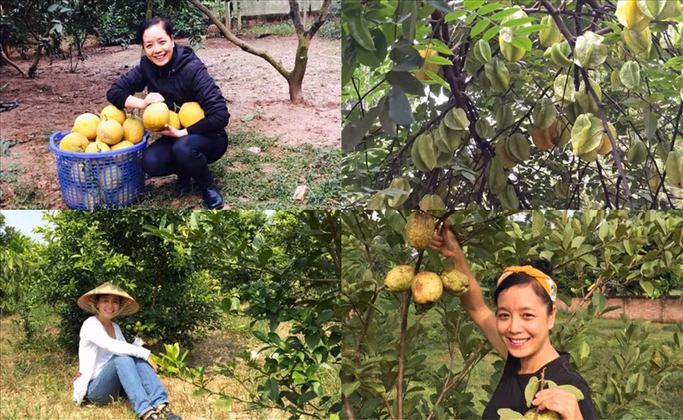 Sống ở phố chật hẹp nên Chiều Xuân đầu tư một khu vườn rộng 1000 m2 ở ngoại ô để trồng rau, củ, quả sạch.