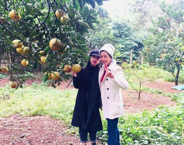 Niềm vui mỗi tháng, thậm chí là mỗi tuần của nữ diễn viên là cùng gia đình lái xe về khu vườn để thu hoạch các loại rau, quả sạch.