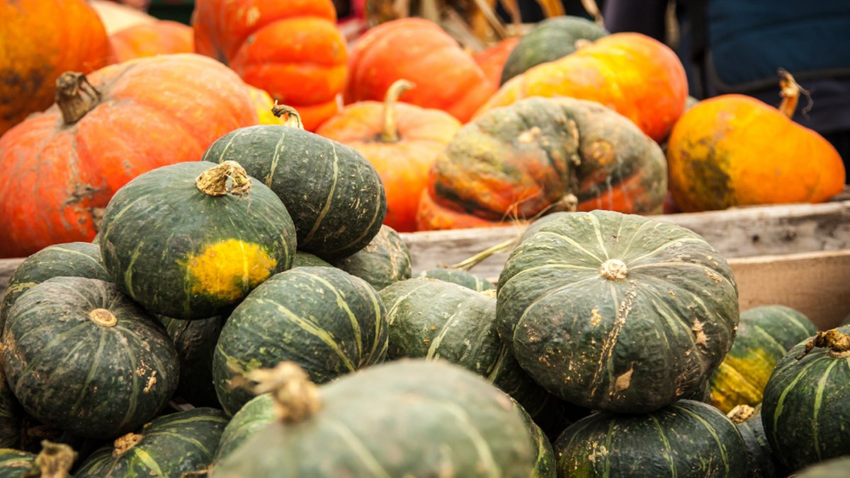 Vi sao nhat dinh phai an bi do vao mua thu?-Hinh-2