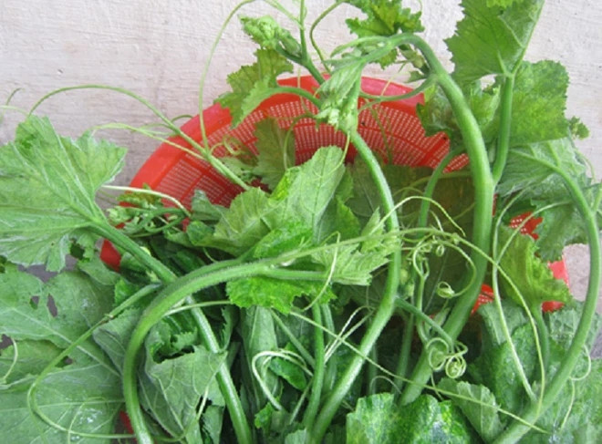 Loai rau re tien lai giup giai doc, phu nu cang an cang tre