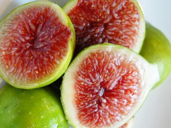 Đặc biệt, những loài cây khác thường nở hoa rồi mới kết trái, nhưng quả sung thì ngược lại. Sung kết trái trước rồi mới tạo hoa, vì vậy thực chất đây là phần quả giả.