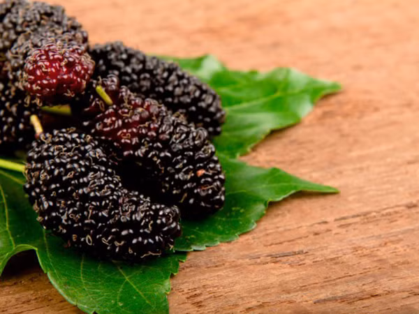 Có câu nói "bệnh từ miệng mà ra" và đây thực sự là một câu nói chính xác, đặc biệt trong những trường hợp thứ bạn ăn vào không tốt lành gì. (Ảnh: Boldsky, minh họa)