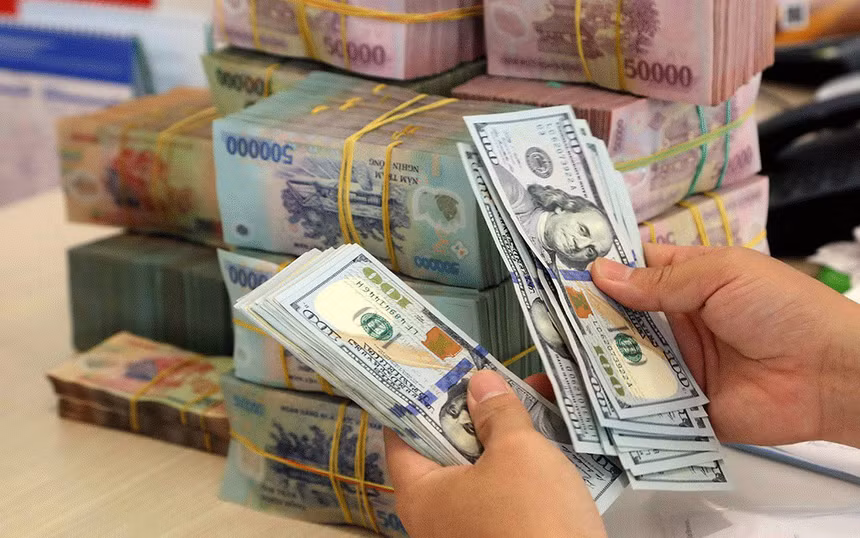 NHNN đã bơm khoảng 140.000 tỷ đồng ra nền kinh tế để mua USD - Hình 2 NHNN da bom khoang 140.000 ty dong ra nen kinh te de mua USD-Hinh-2