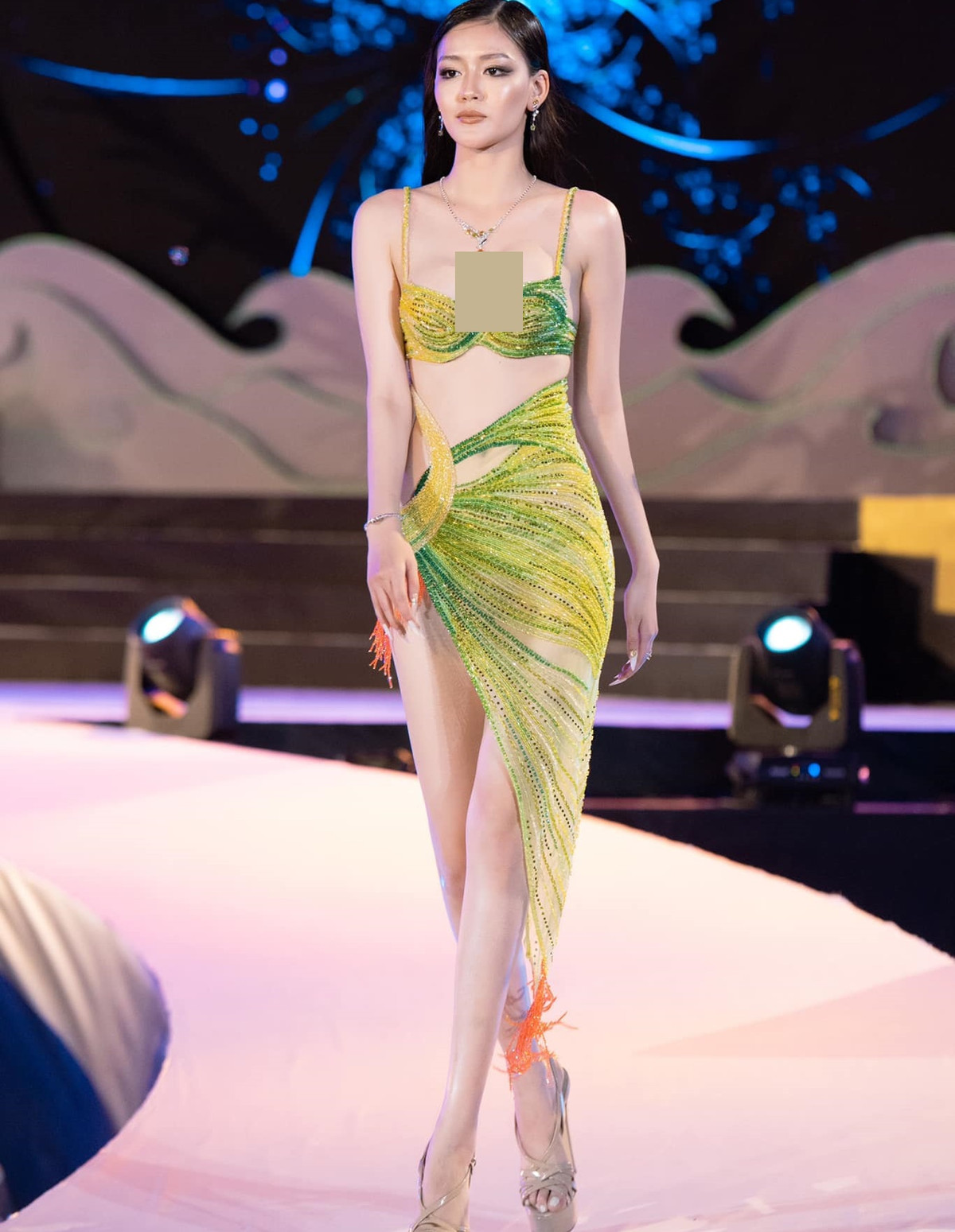 Nàng á hậu làm người mẫu, tham gia các gameshow truyền hình, thử sức diễn xuất. Ảnh: FBNV