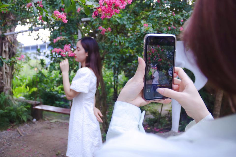 Không gian xanh mát xen lẫn những đóa tường vi hồng sậm đã tạo nên một địa điểm check-in tuyệt vời, thu hút hàng trăm người đến mỗi ngày. Đặc biệt, vào những ngày cuối tuần, lượng khách tham quan đổ về đây thường rất đông. Mức cao điểm có thể lên tới 200 lượt khách mỗi ngày.