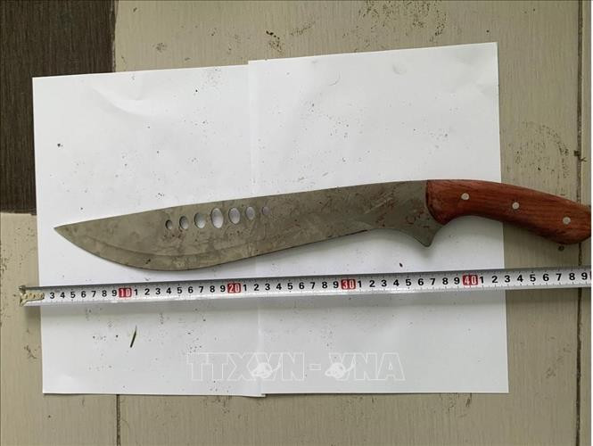 Tam giu hinh su nhom thanh nien chem lia tay doi thu-Hinh-2