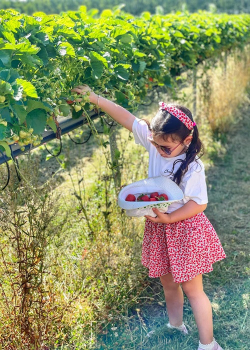 Bé Myla có chuyến nghỉ hè thú vị ở quê nội.