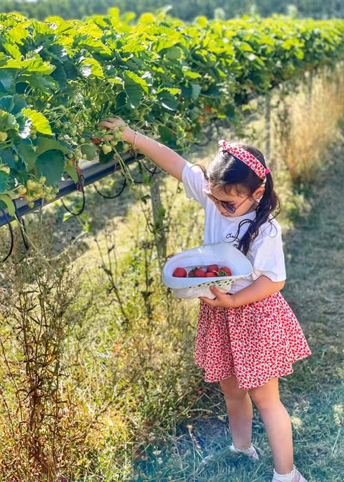 Bé Myla có chuyến nghỉ hè thú vị ở quê nội.