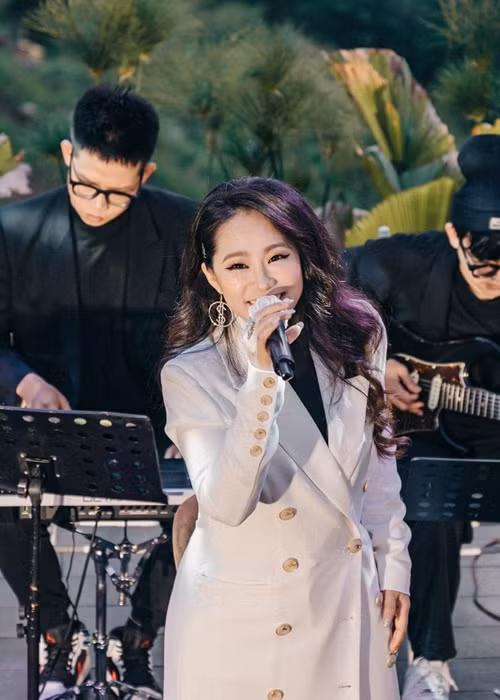 Lương Bích Hữu hiện tại tích cực hoạt động nghệ thuật.