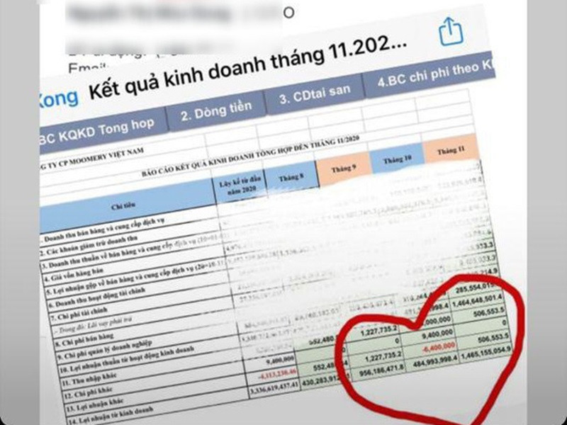 Nhã Phương từng công khai mức doanh thu của công ty dao động từ 500 triệu - 1,5 tỷ mỗi tháng. Ảnh: Dân Việt