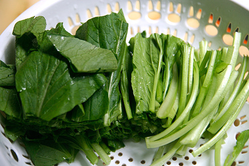 Cải ngọt ngâm nước muối loãng, sau đó rửa sạch, thái khúc.