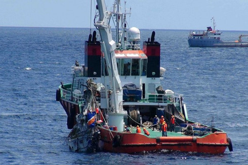 Nguyen nhan ban dau khien Su-30 va CASA 212 gap nan