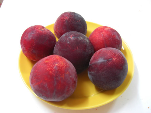 Ở miền Bắc, những loại quả thời vụ điển hình như mận, vải, đào đều không thể thiếu trong mâm cúng. Đặc biệt là mận, vải. Nếu thiếu đi những thứ hoa quả này thì Tết Đoan Ngọ sẽ mất đi nhiều ý nghĩa của nó.