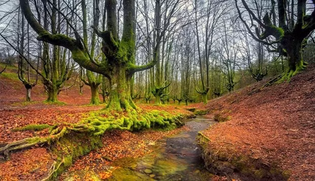 Tia dat su that sau nhung ngoi nha ma am-Hinh-2