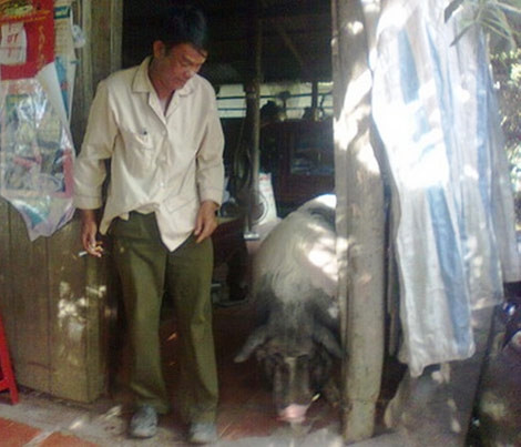 Lam 25 mam com cho gio dau chu heo biet an chay