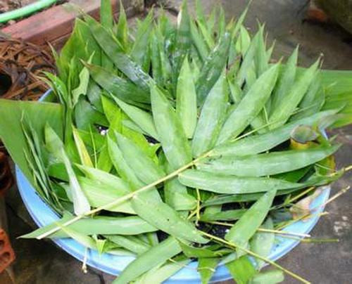 Lá tre trị hết thủy đậu. Liều lượng: 8g lá tre, 8g liên kiều, 4g cát cánh, 4g đạm đậu sị, 3g bạc hà, 3g chi tử, 3g cam thảo, 2 củ hành tăm. Cách dùng: sắc uống, 1 thang thuốc/ ngày.