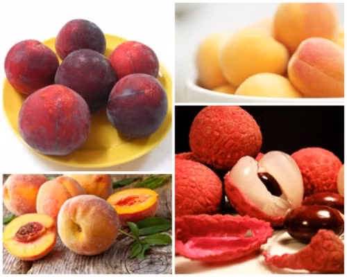 Cung Tet Doan Ngo vao sang hay trua chuan nhat?-Hinh-2